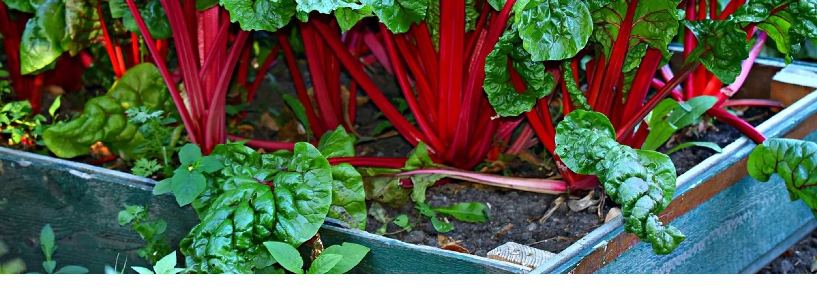 997b95fc064dd0e8b8b073241e47379d