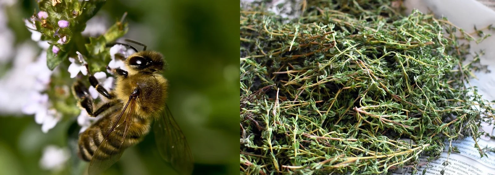 2e9b16bdbb1a13928f28c2e9f80591a8