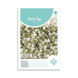 Gipsurt frø Snow Flake Horti Tops Frøpose med gipsurt Snow Flake fra Horti Tops