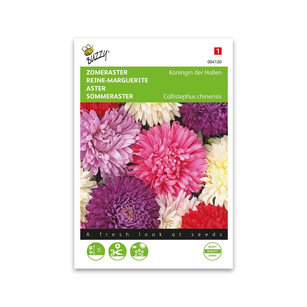 Asters frø, "Queen of the market" - mix