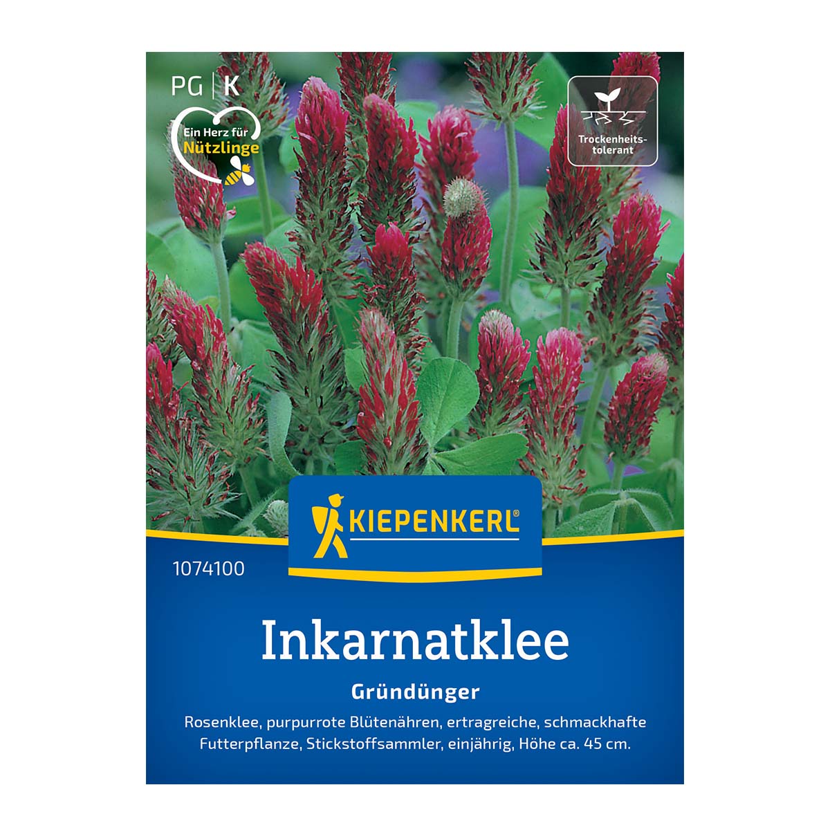 Kiepenkerl blodkløver (inkarnatkløver) frøpakke til 25 m² med tætte purpurrøde blomsteraks; velegnet som grøngødning, kvælstofbinder, foderplante og tiltrækker bier og sommerfugle.