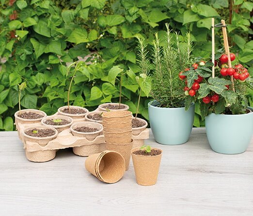 Sæt med små nedbrydelige plantepotter på havebord