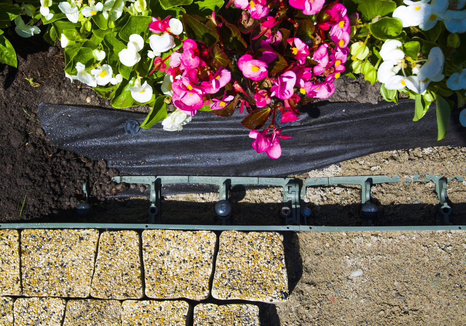 Plast kantafgrænsning mellem fliser og farverige blomster