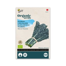 Økologiske frø til palmekål Nero di Toscana Frøpose med økologisk palmekål Nero di Toscana