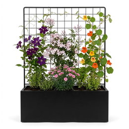 Sort plantekasse m/ espalier - 120 x 40 x 40 cm