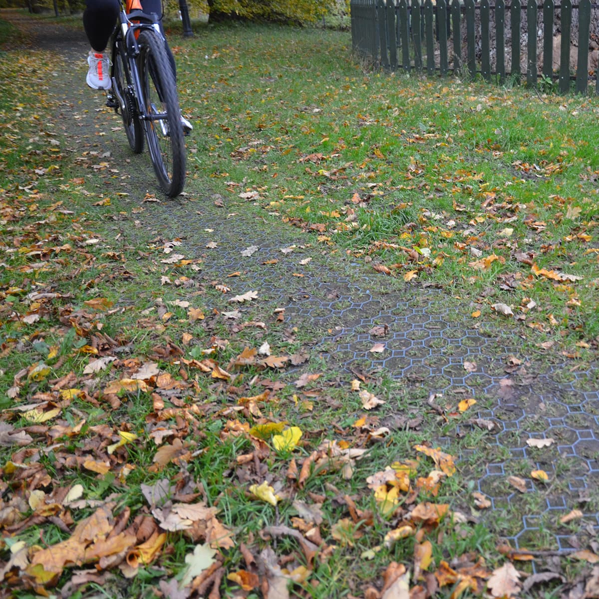 Cykel på sti med græsarmering og faldne blade
