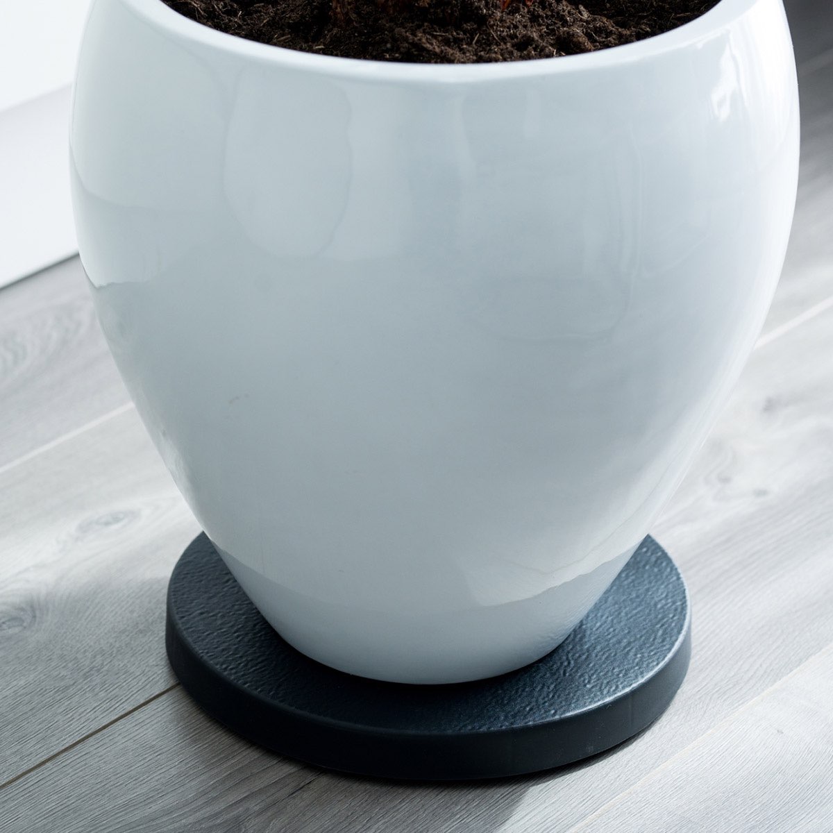 Rund sort planteunderkop til gulvvaser Sort underkop til stor hvid plantepotte på gulv