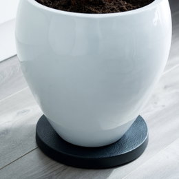 Sort underkop til stor hvid plantepotte på gulv