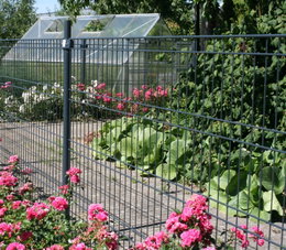 Hegn til have med drivhus og blomsterbede Stålgitterhegn foran have med drivhus og blomster
