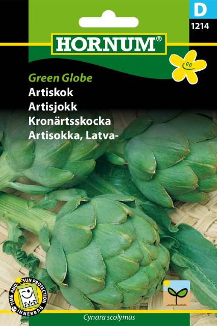 HORNUM Green Globe artiskokfrø Pose med HORNUM Green Globe artiskokfrø