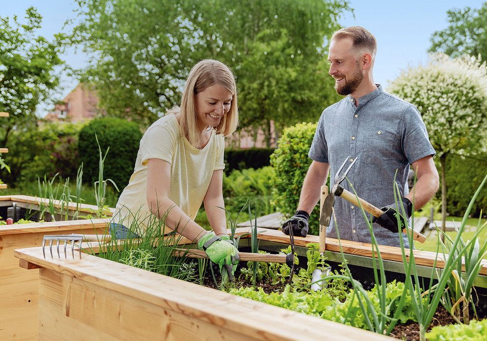 Par planter og plejer grøntsager i hævede træplantekasser i have To voksne i handsker arbejder sammen i hævede træplantekasser, planter og passer salat og krydderurter med haveredskaber i en solrig, velplejet have