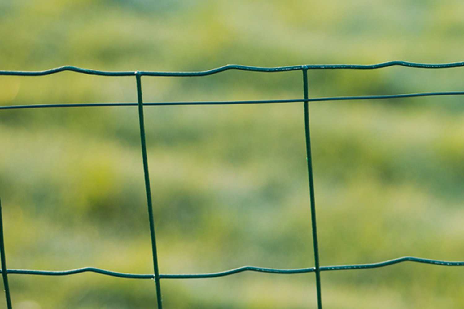 Nærbillede af Nature galvaniseret hegnstråd med grøn PVC-belægning, Ø1,2/2,0 mm, rulle 15 m – velegnet til havehegn, indhegninger og udendørs montage