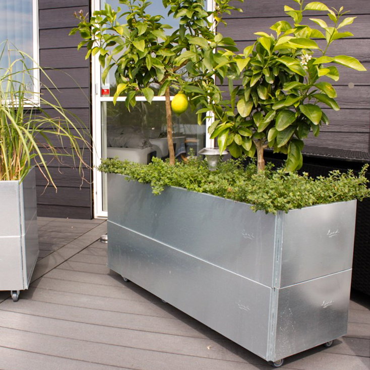 Stor galvaniseret plantekasse på hjul til terrasse Galvaniseret plantekasse på hjul med træer på terrasse