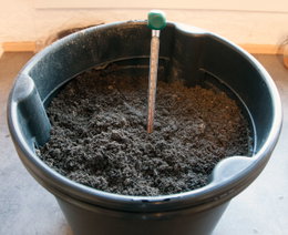 Jordtermometer i spand med pottemuld Jordtermometer måler temperatur i spand med jord