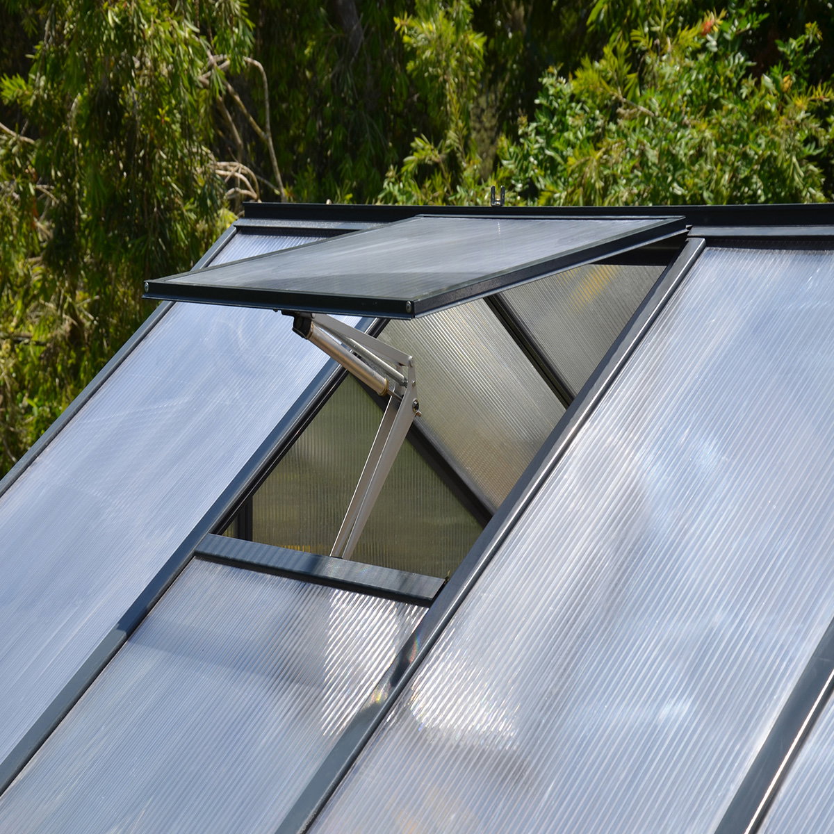 Nærbillede af åben ventilationsluge på Drivhus Glory 6,2 m² i grå pulverlakeret aluminiumsramme med 10 mm dobbeltvæggede polycarbonatpaneler (Palram - Canopia)
