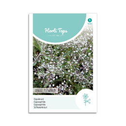 Gypsophila frø – etårig brudeslør Frøpose med hvide Gypsophila blomster