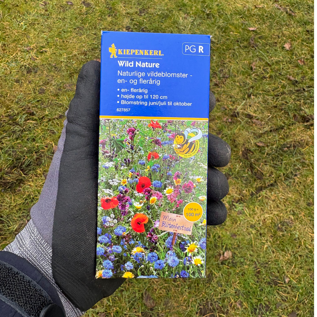 Kiepenkerl frøpakke 'Blomsterblanding Vild Natur' til 100 m², farverigt udvalg af et- og flerårige vilde blomster (højde op til 110 cm) der tiltrækker bier, humlebier og sommerfugle
