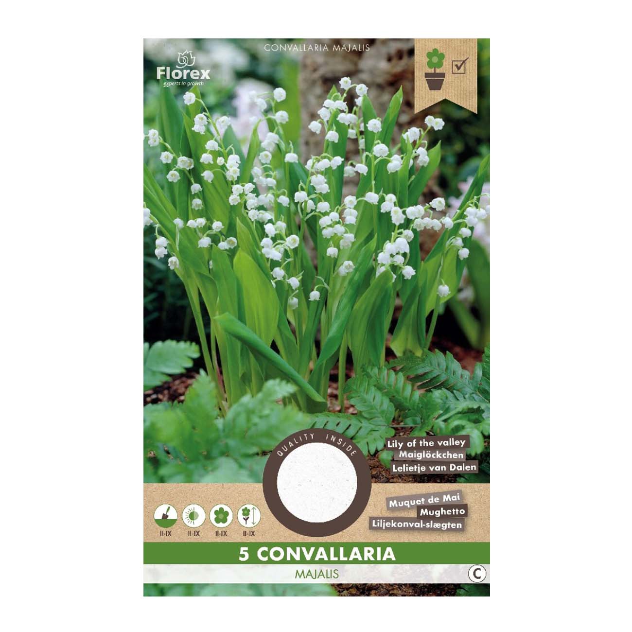 Florex pakke med 5 Convallaria majalis liljekonval