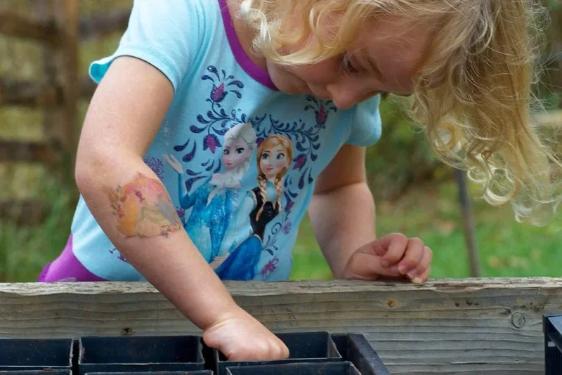 Lille barn i lyseblå 'Frozen' T-shirt planter frø i en pottebakke udendørs
