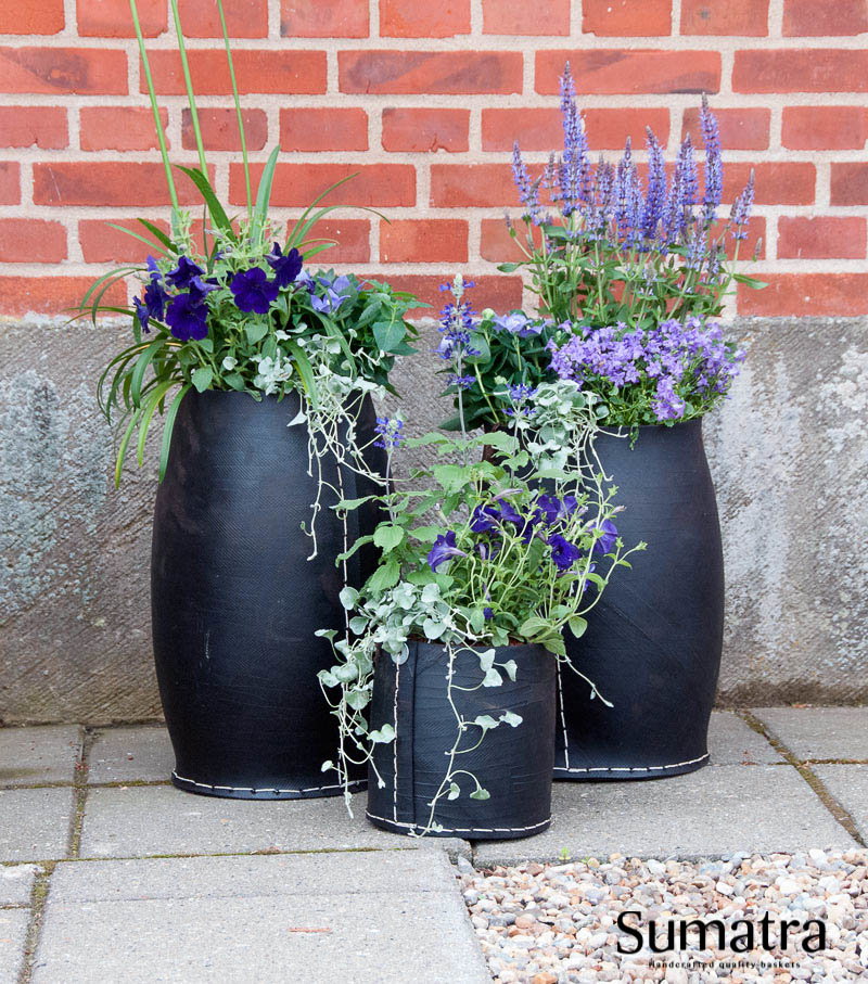 Tre sorte Sumatra urtepotter med lilla blomster