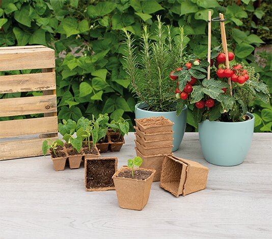 Små nedbrydelige plantepotter med spirer på terrasse