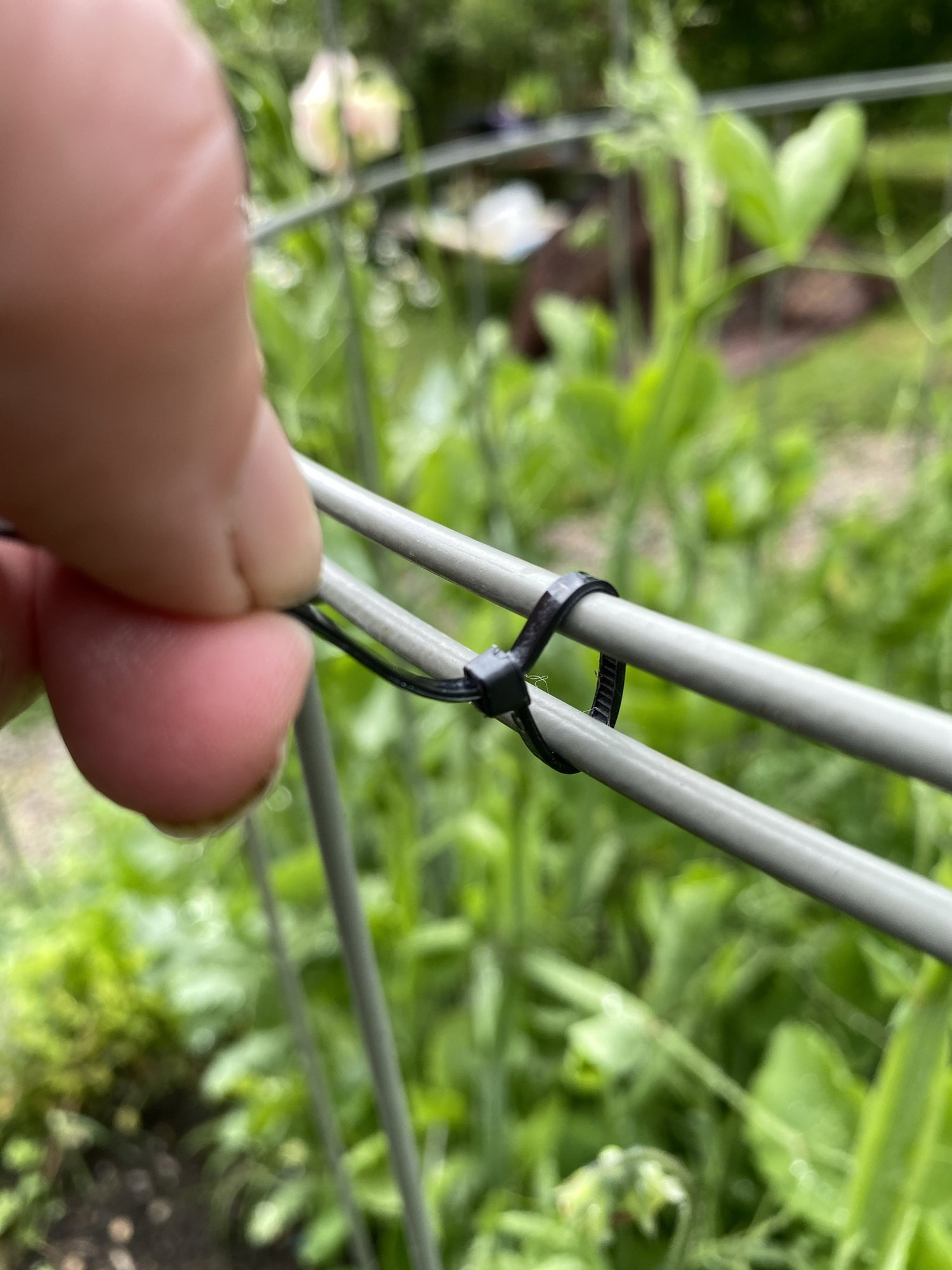 Strips til planter - 3 mm x 150 mm