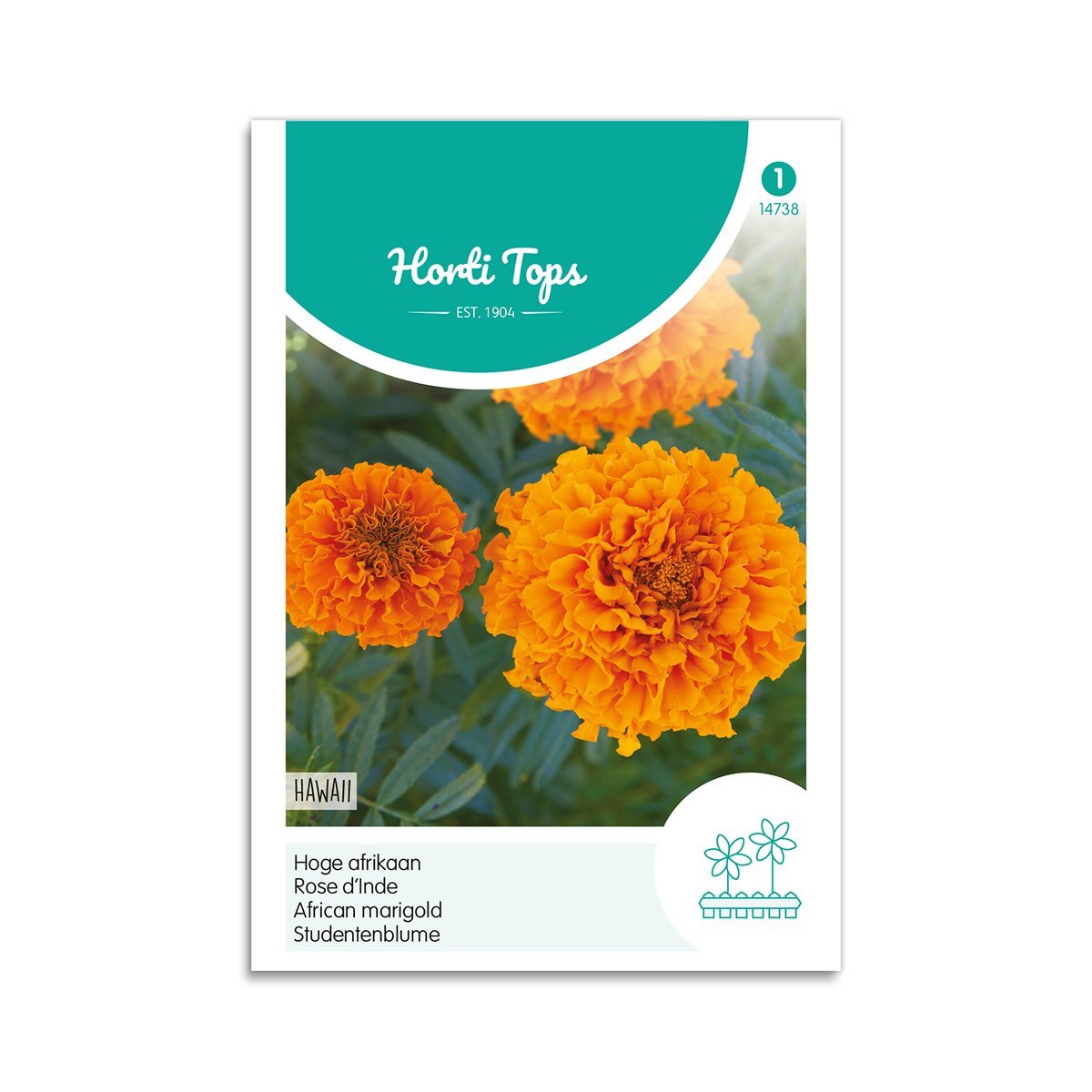 Tagetes frø "Hawaii"