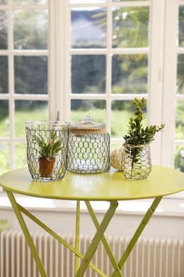 Nature galvaniseret hønsenet 13 mm - 50 cm x 3 m | holdbart hønsenet til have og hobby Galvaniseret hønsenet 13 mm (50 cm x 3 m) fra Nature rundt om glasvaser på bord, illustrerer anvendelse til indhegning, plantebeskyttelse og gør-det-selv-projekter