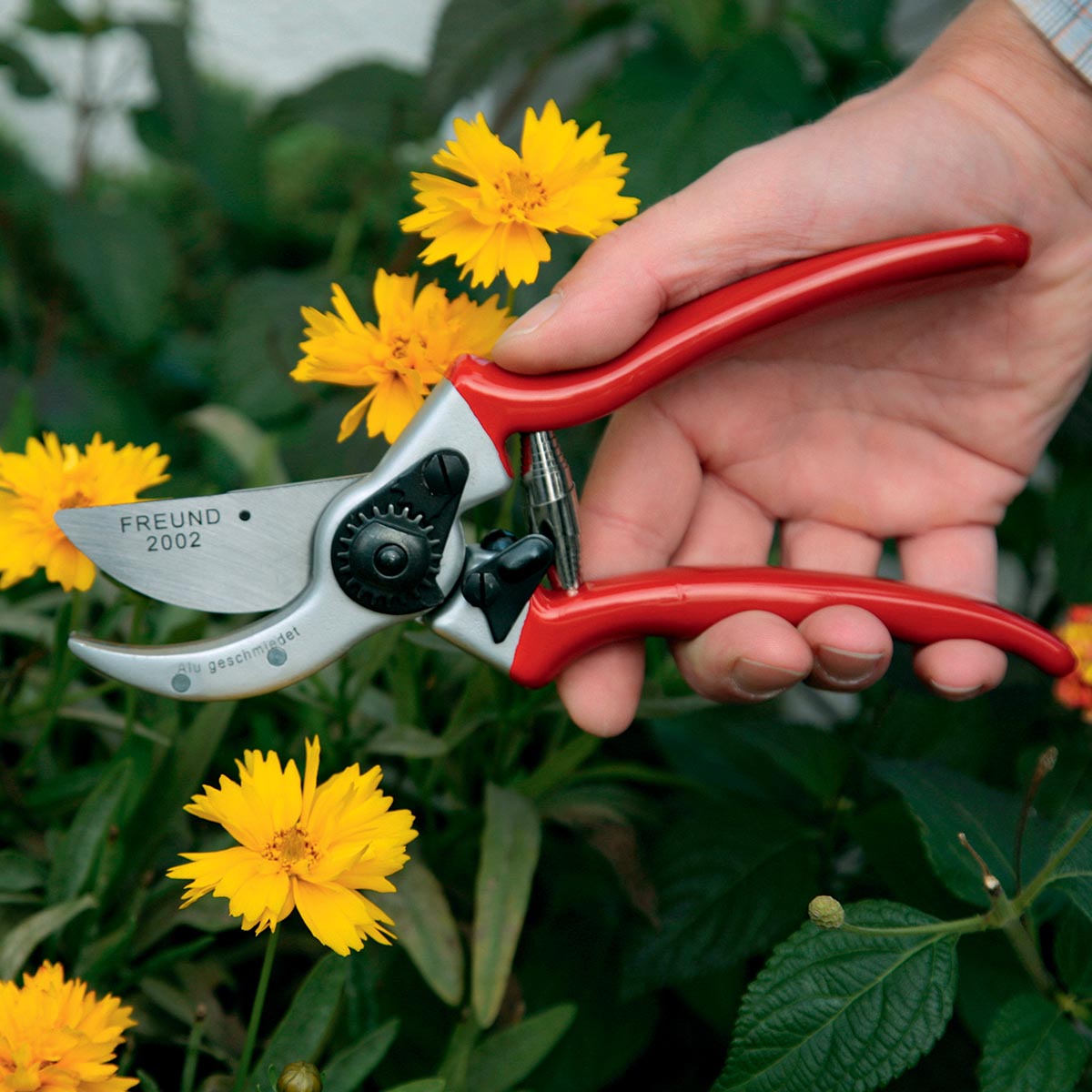 Freund Beskæresaks 2002 fra Freund Victoria med røde greb, smedet aluminium og kulstofstål klinge, ergonomisk design med trådskærer og støddæmper, brugt til præcis beskæring af blomster i haven