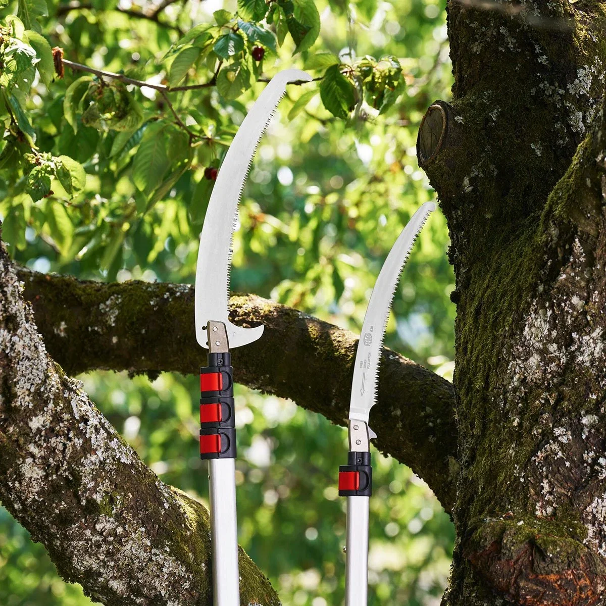 Teleskop grensav med krog til beskæring af grene
