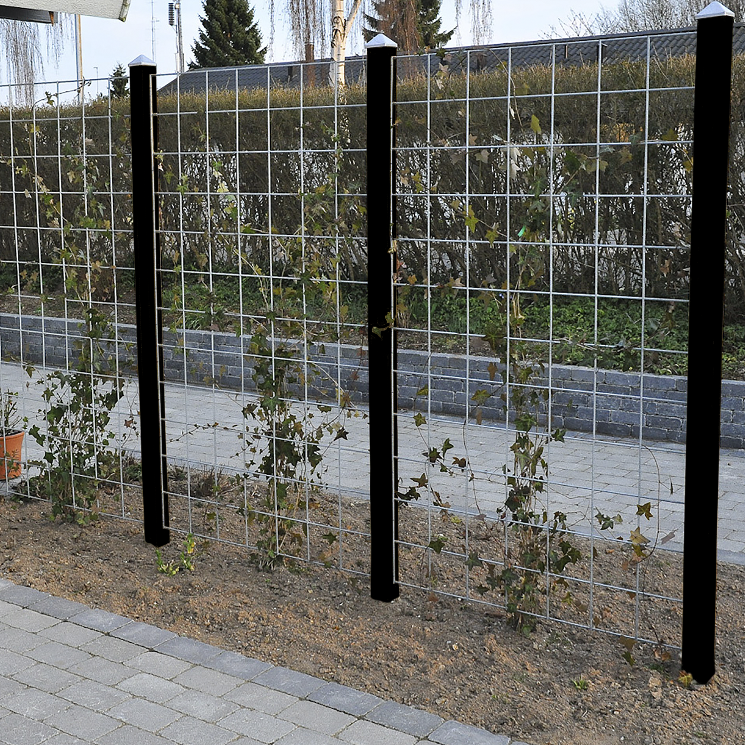Havehegn med klatrestativ til planter Galvaniseret havehegn med klatreplanter