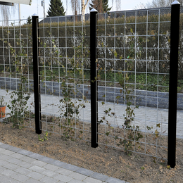 Havehegn med klatrestativ til planter Galvaniseret havehegn med klatreplanter