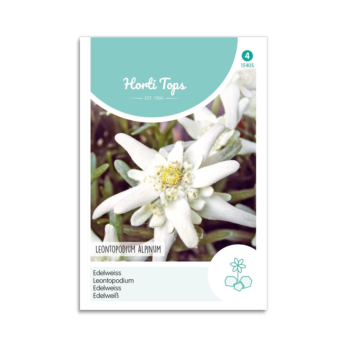 Ægte Edelweiss frø