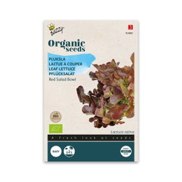 Øko frø til rød pluksalat Red Salad Bowl Buzzy økologiske frø til rød pluksalat Red Salad Bowl