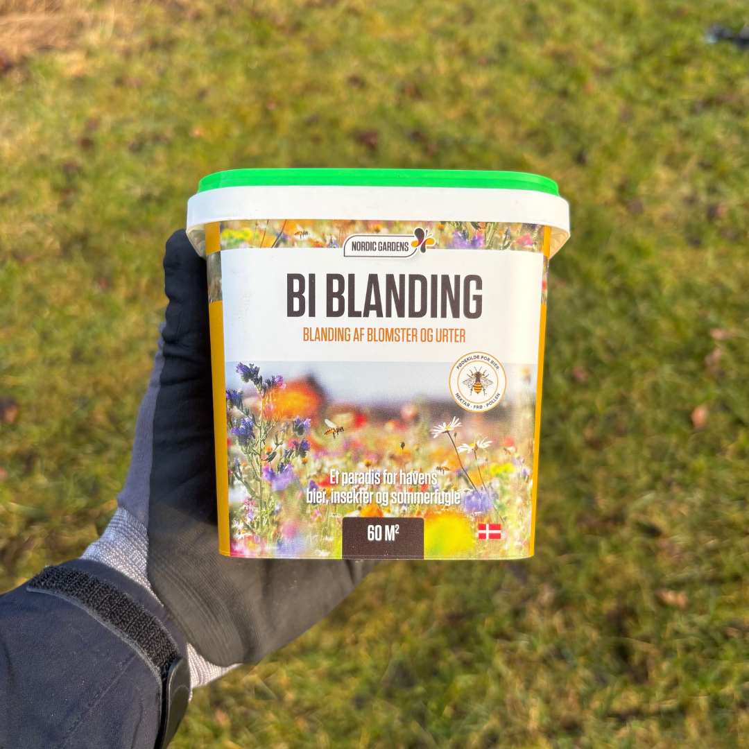 Produktbillede af Nordic Gardens Blomsterblanding Bi-blanding i plastbøtte, blomster- og urtemix til 60 m², specielt udvalgt for højt nektar- og pollenindhold til bier, sommerfugle og nyttedyr