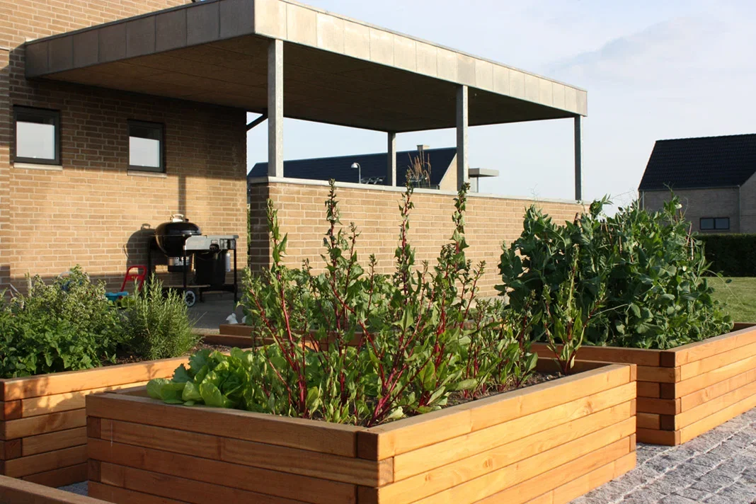 Moderne træhøjbede på terrasse fyldt med salat, bladgrønt og ærteplanter foran hus med overdækket terrasse