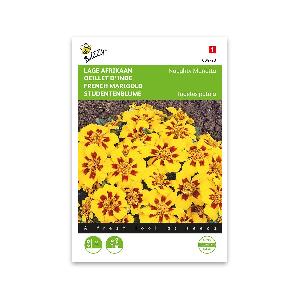 Tagetes frø "Naughty Marietta"