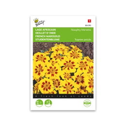 Tagetes patula Naughty Marietta frø Frøpose med Tagetes patula Naughty Marietta
