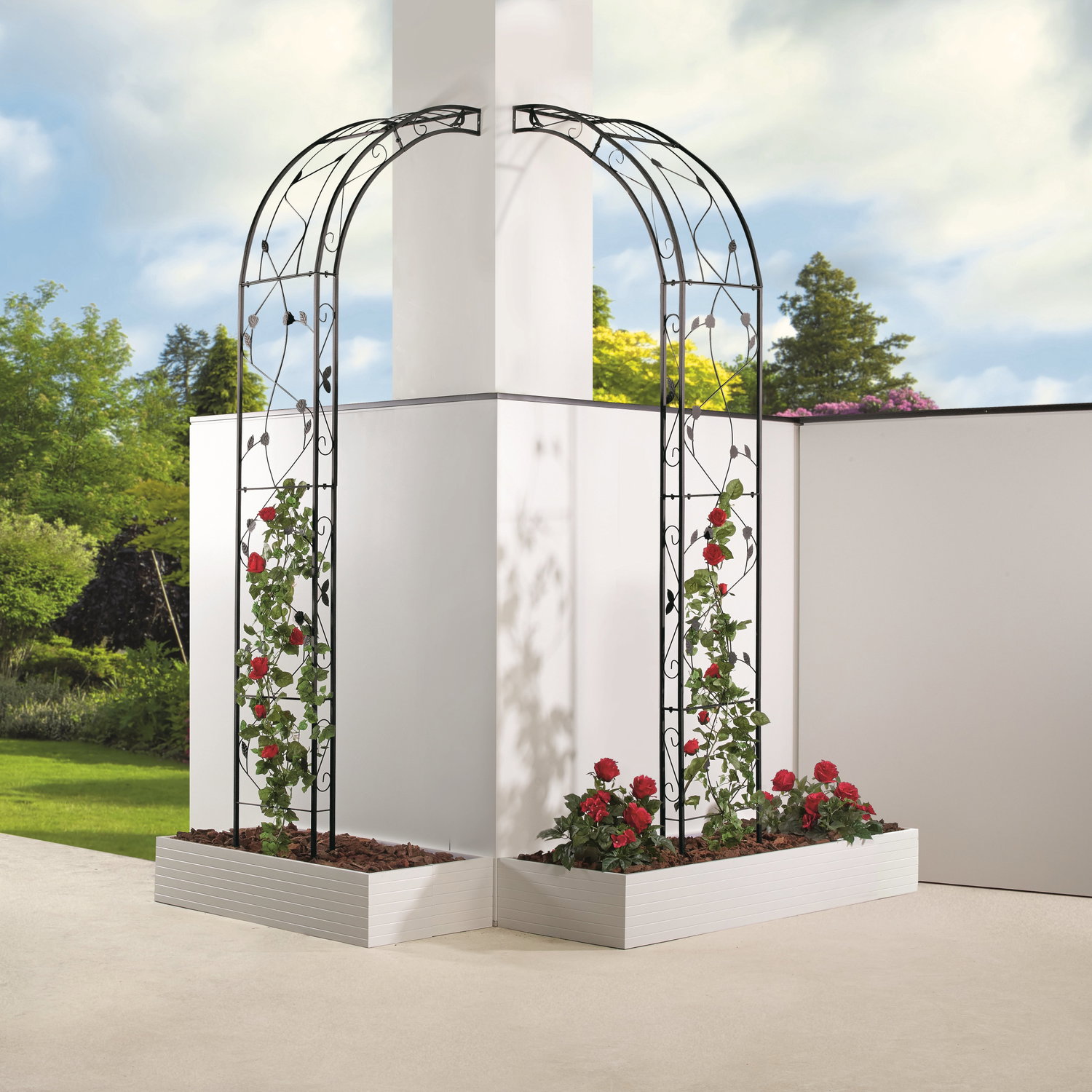 Sort rosenbue i plantekasse til have og terrasse Rosenbue i metal med røde roser i hvide plantekasser