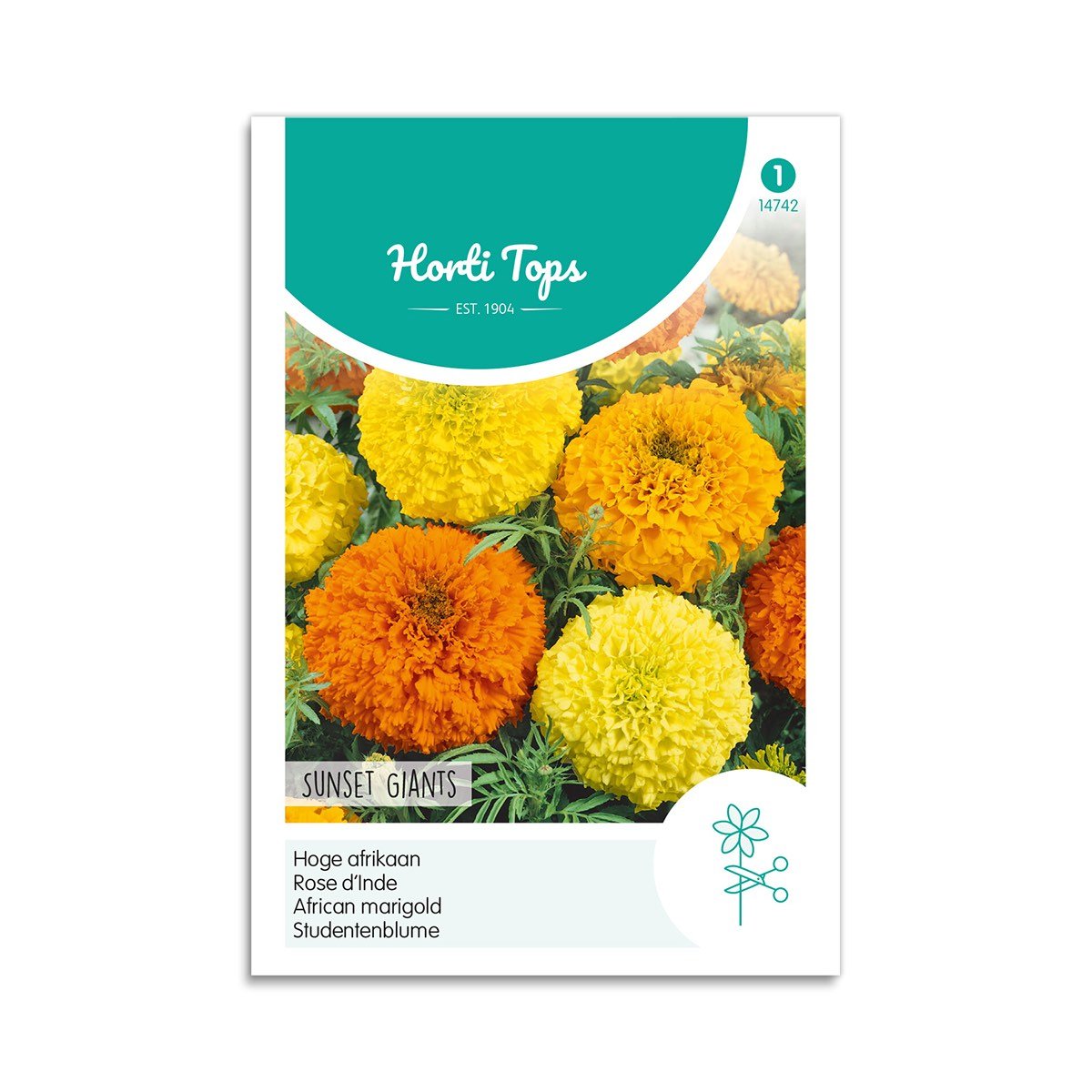 Tagetes frø "Sunset Giants"