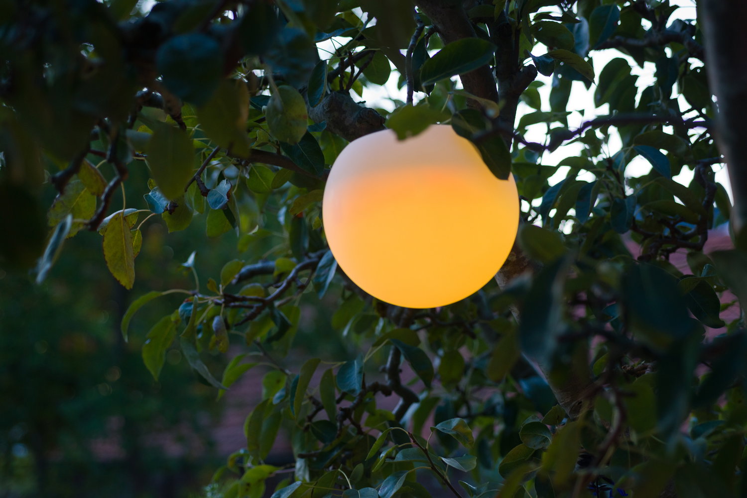 Rund gul udendørs lampe hængende i træ