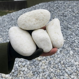 Hvide pyntesten 70-100 mm - GreenBio | naturlige afrundede kalksten til haven Hvide pyntesten 70–100 mm fra GreenBio, naturligt afrundede kalksten i blandet størrelse (70–100 mm) til dekorative bede, stier og strandinspireret haveindretning