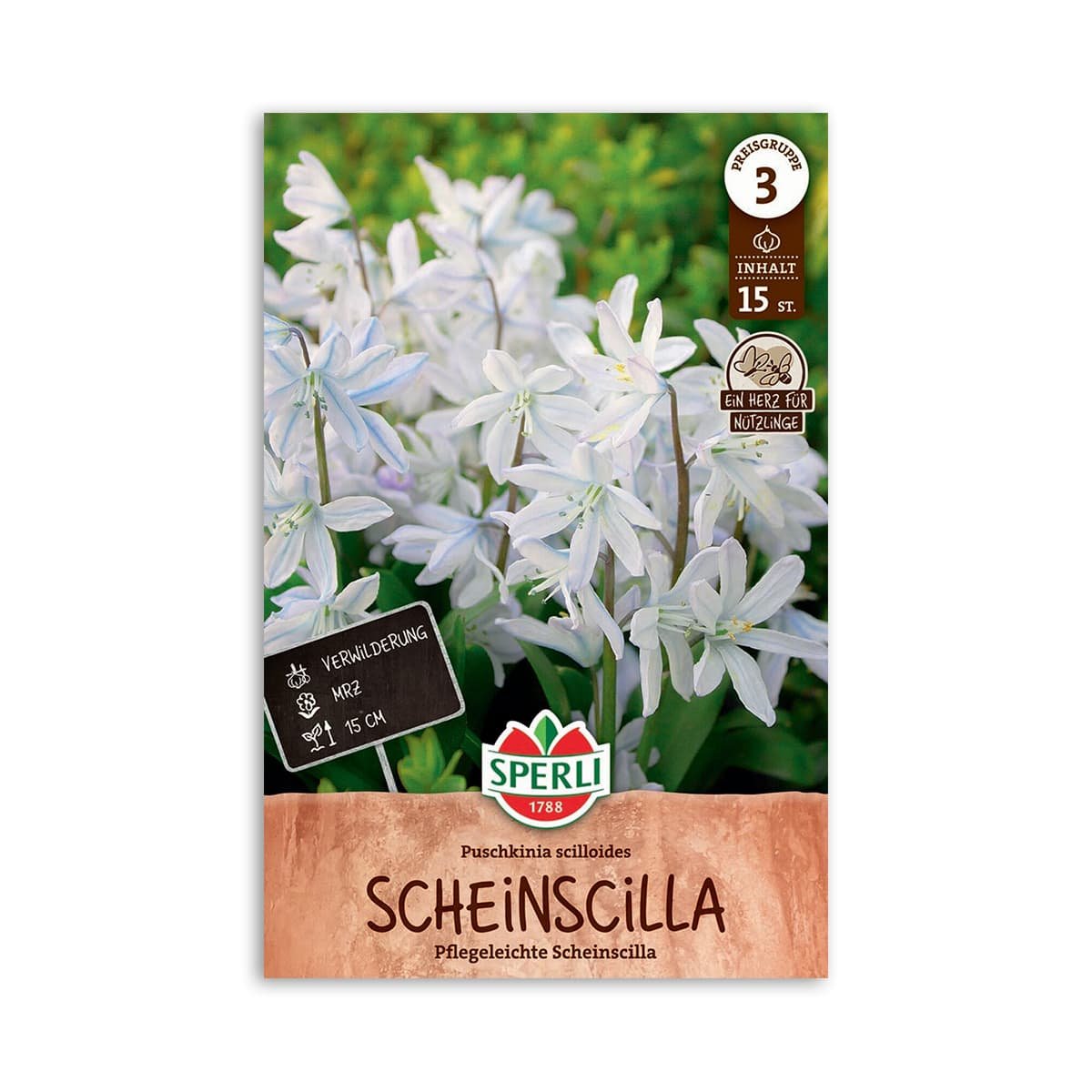Frøpose med hvide Scheinscilla blomster fra Sperli