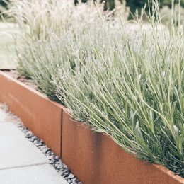 Højbede i cortenstål til moderne have Grønne planter i højbede af cortenstål i haven