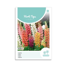 Horti Tops flerfarvede lupinfrø Frøpose med flerfarvede lupiner fra Horti Tops