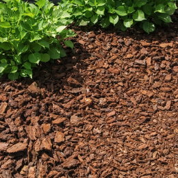 Pinjebark 20-40 mm – 50 liters poser | BMB - dekorativt, vedligeholdelsesvenligt bunddække Pinjebark 20–40 mm i dekorativt lag omkring planter; varmebehandlet, naturligt bunddække fra BMB, 50 L poser, hæmmer ukrudt og bevarer fugt