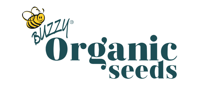 Logo for Buzzy Organic Seeds med teksten »Organic seeds« i dekorativ skrifttype og en stiliseret gul bi