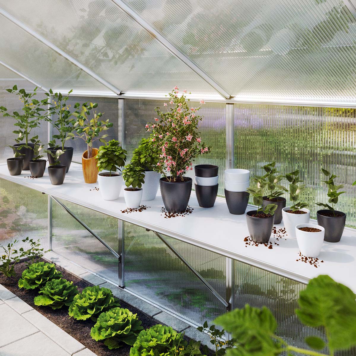Plantebord i drivhus med grønne planter