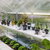 Plantebord i drivhus med grønne planter