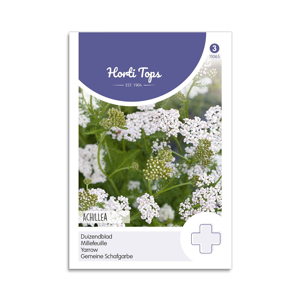 Achillea frø – hvid røllike Frøpose med Achillea, hvid røllike i blomst